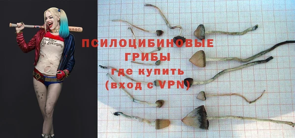 спайс Алексин