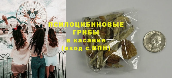 спайс Алексин